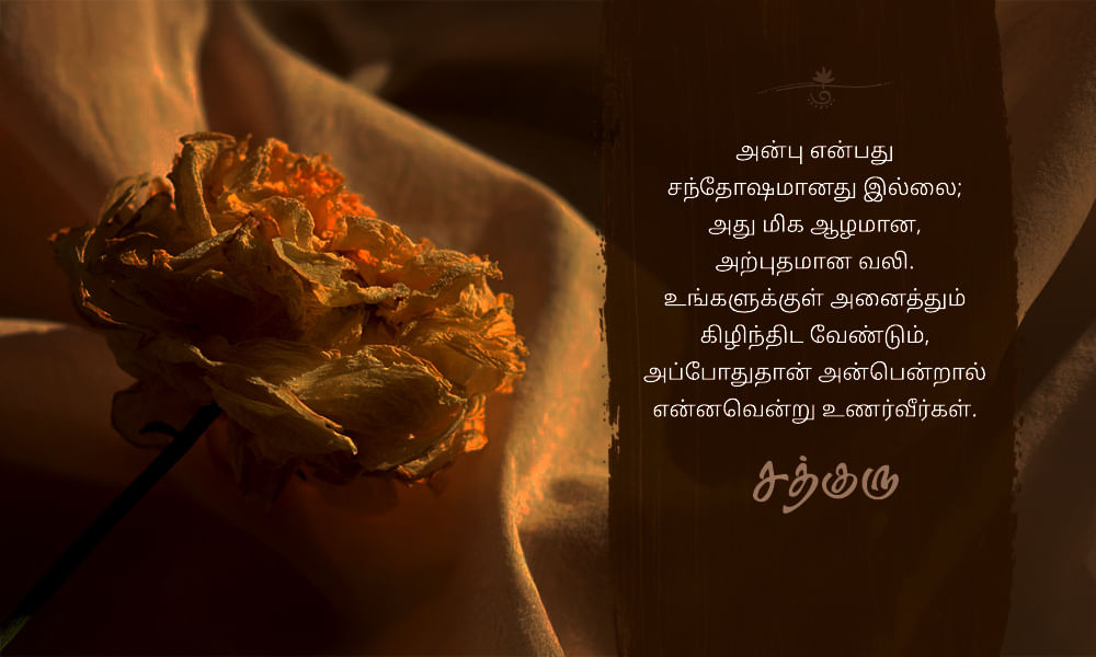 Pain Quotes in Tamil, Love, அன்பு