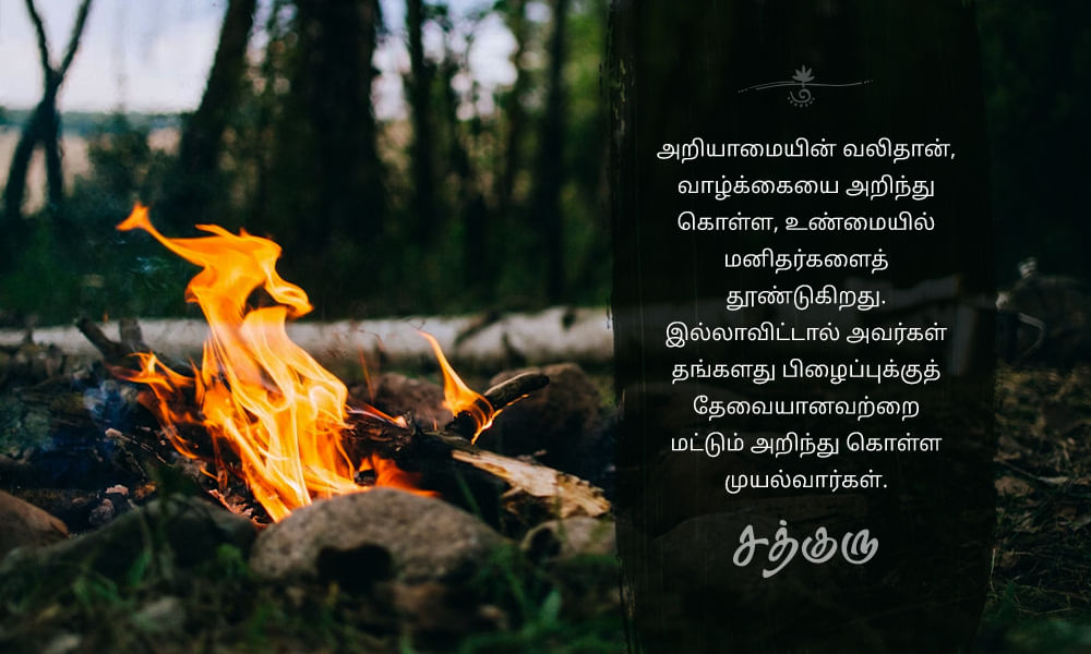 Pain Quotes in Tamil, Ignorance, அறியாமை