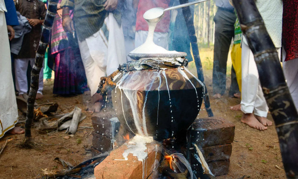 Pongal Quotes in Tamil, பொங்கல் திருவிழா பற்றிய சத்குருவின் வாசகங்கள் Pongal Quotes in Tamil, பொங்கல் திருவிழா பற்றிய சத்குருவின் வாசகங்கள்