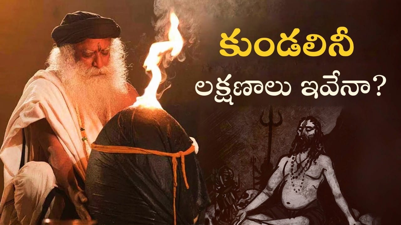 వాళ్ళు 3 గంటల్లోనే చెట్టును పెంచారు |They Made a Tree Grow in 3 Hours | Kundalini