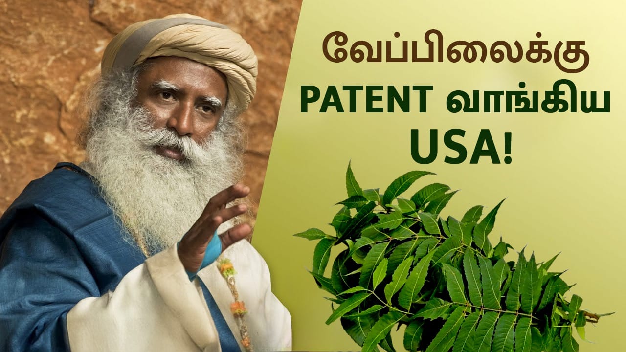 Neem