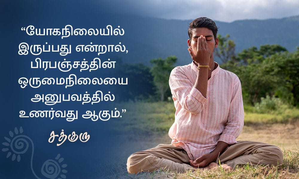 பிரபஞ்சத்தின் ஒருமைநிலை, Oneness of existence