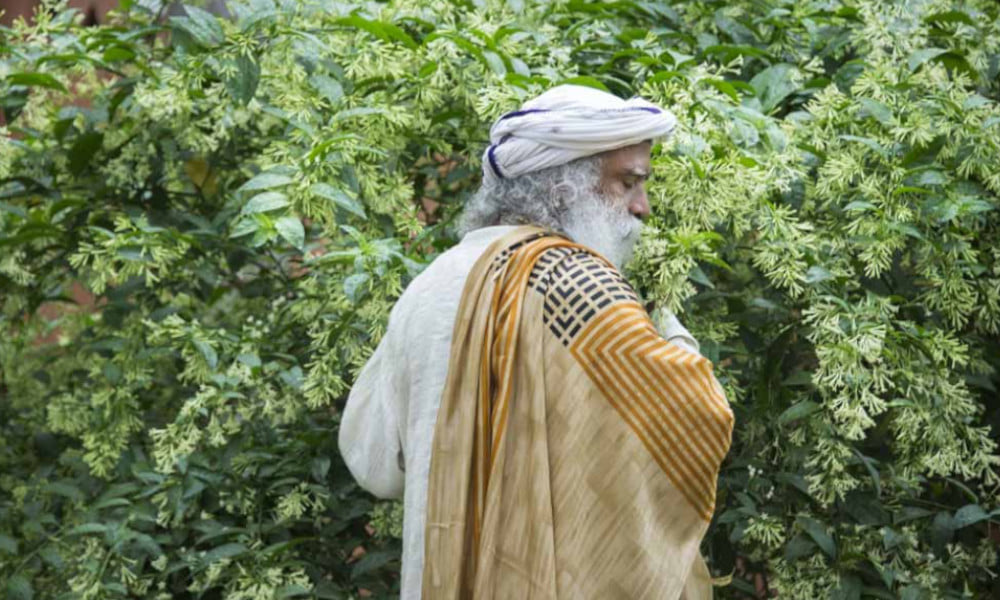 sadhguru on usefulness in life sadhguru on usefulness in life